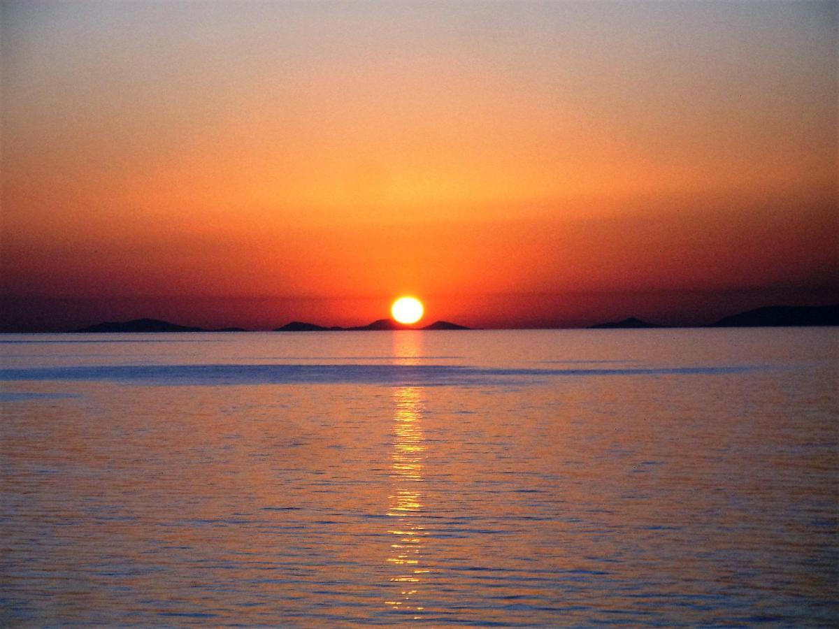 Alba Stupendo Appartamento In Villa Fronte Mare - Golfo Dell'Asinara - Internet Free 瓦雷多利亚 外观 照片