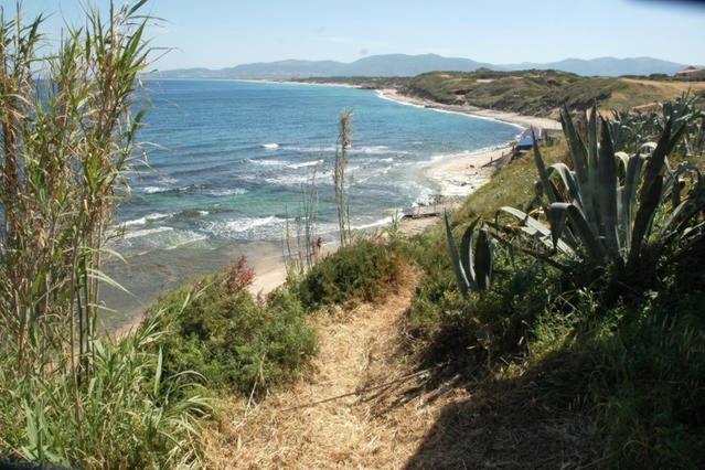 Alba Stupendo Appartamento In Villa Fronte Mare - Golfo Dell'Asinara - Internet Free 瓦雷多利亚 外观 照片
