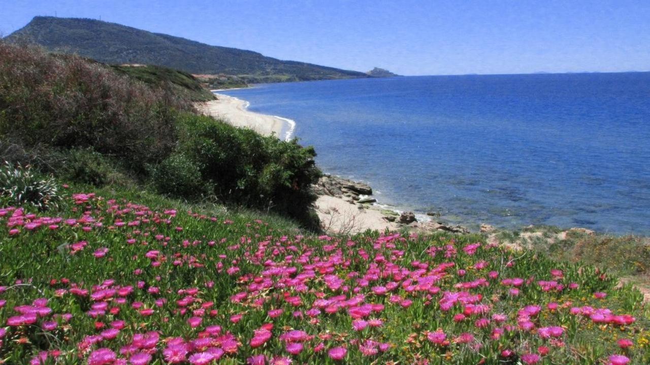 Alba Stupendo Appartamento In Villa Fronte Mare - Golfo Dell'Asinara - Internet Free 瓦雷多利亚 外观 照片