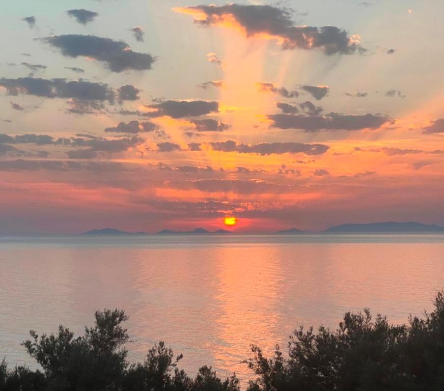 Alba Stupendo Appartamento In Villa Fronte Mare - Golfo Dell'Asinara - Internet Free 瓦雷多利亚 外观 照片